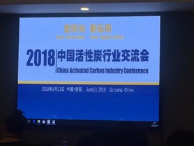 四川蜂窩活性炭參加中國活性炭行業(yè)交流會(huì )